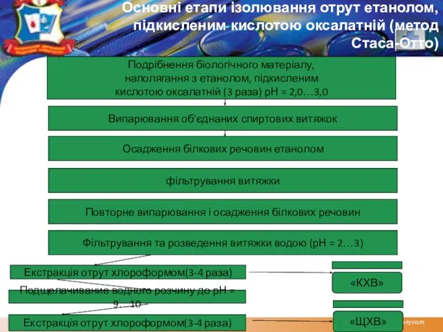 www.themegallery.com Основні етапи ізолювання отрут етанолом, підкисленим кислотою оксалатній (метод