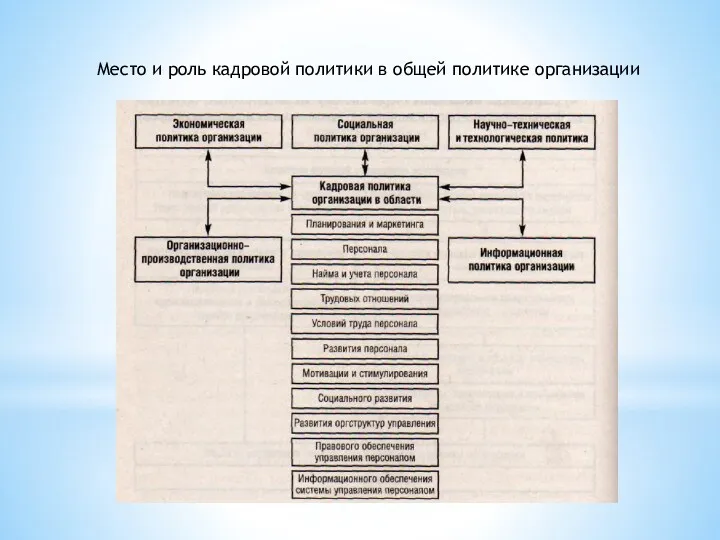 Место и роль кадровой политики в общей политике организации