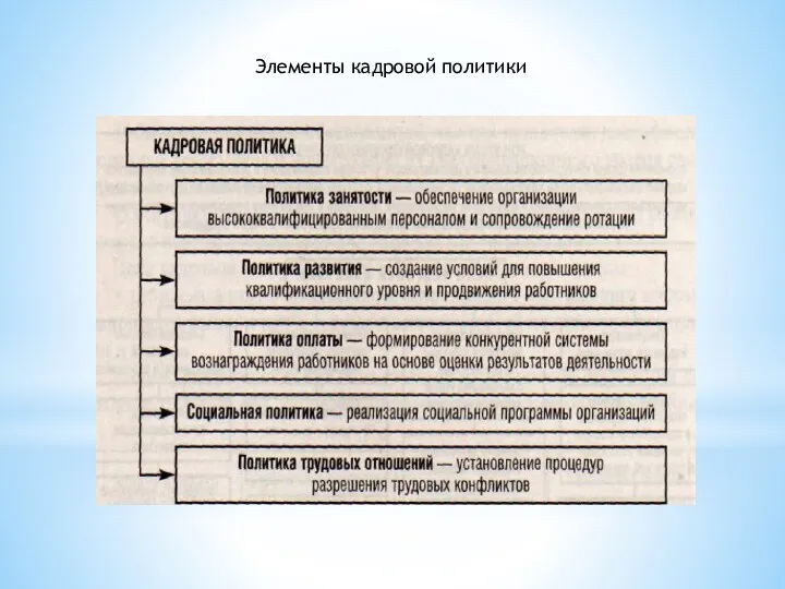 Элементы кадровой политики