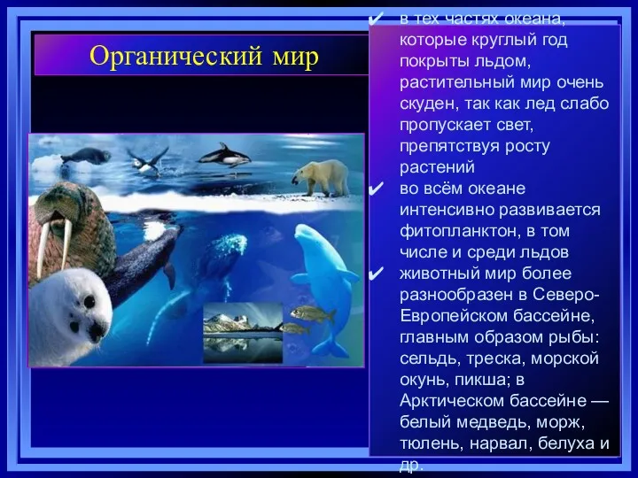 Органический мир в тех частях океана, которые круглый год покрыты