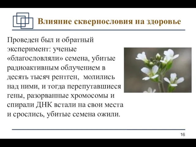 Влияние сквернословия на здоровье Проведен был и обратный эксперимент: ученые