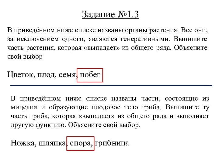 В приведённом ниже списке названы органы растения. Все они, за