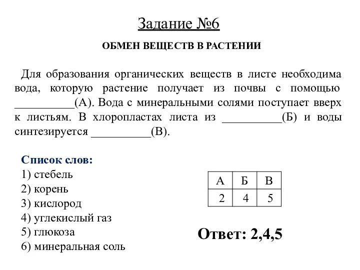 ОБМЕН ВЕЩЕСТВ В РАСТЕНИИ Для образования органических веществ в листе необходима вода, которую