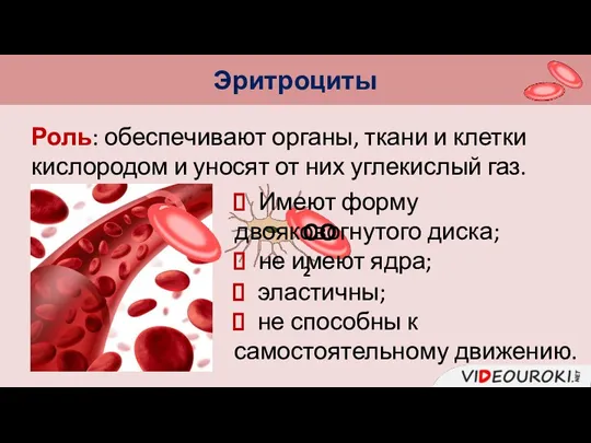 Эритроциты Роль: обеспечивают органы, ткани и клетки кислородом и уносят