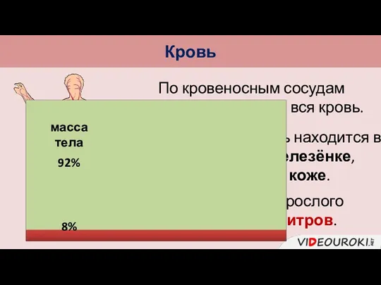 По кровеносным сосудам передвигается не вся кровь. Кровь Большая её