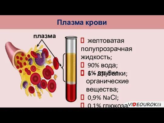 Плазма крови плазма желтоватая полупрозрачная жидкость; 90% вода; 6 –