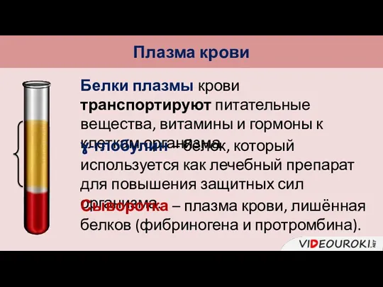 Плазма крови Белки плазмы крови транспортируют питательные вещества, витамины и