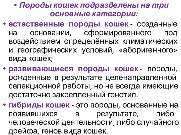 Породы кошек подразделены на три основные категории: естественные породы кошек