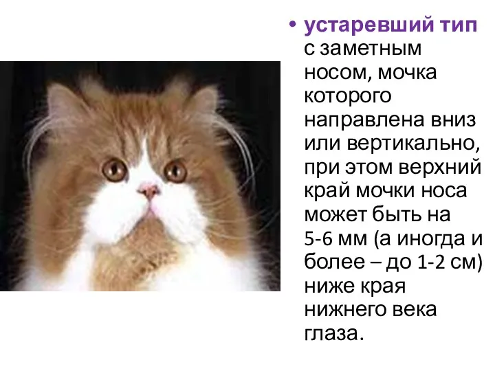 устаревший тип с заметным носом, мочка которого направлена вниз или вертикально, при этом