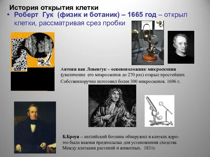 История открытия клетки Роберт Гук (физик и ботаник) – 1665