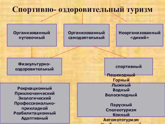 Спортивно- оздоровительный туризм Организованный путевочный Организованный самодеятельный Неорганизованный «дикий» Физкультурно-