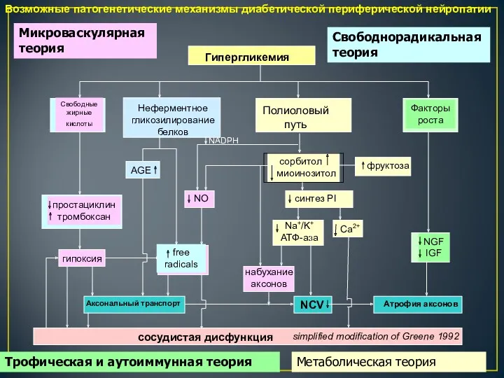 Гипергликемия Свободные жирные кислоты Неферментное гликозилирование белков Полиоловый путь Факторы роста простациклин тромбоксан