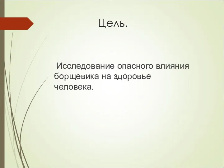 Цель. Исследование опасного влияния борщевика на здоровье человека.