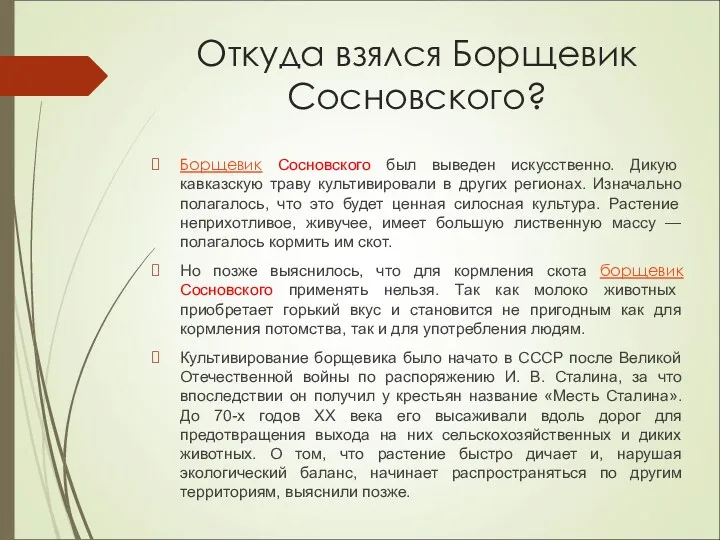 Откуда взялся Борщевик Сосновского? Борщевик Сосновского был выведен искусственно. Дикую