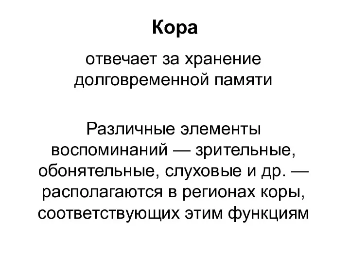 Кора отвечает за хранение долговременной памяти Различные элементы воспоминаний —