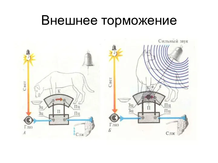 Внешнее торможение