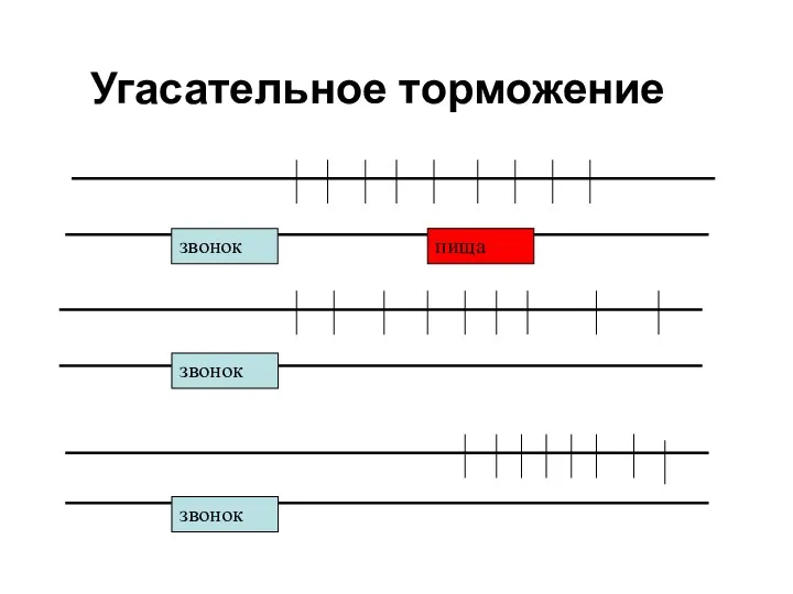 Угасательное торможение звонок пища звонок звонок