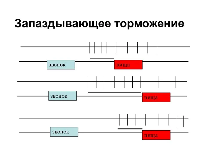 Запаздывающее торможение звонок пища пища пища звонок звонок