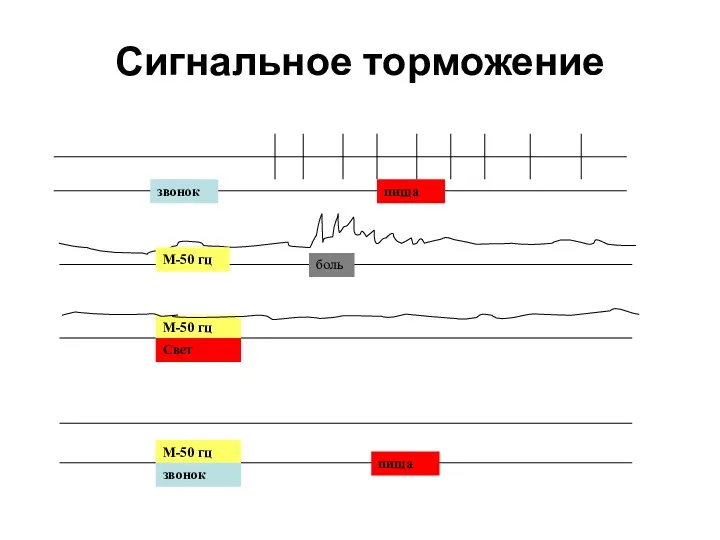 Сигнальное торможение