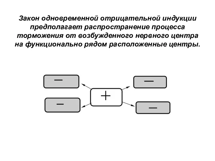 Закон одновременной отрицательной индукции предполагает распространение процесса торможения от возбужденного