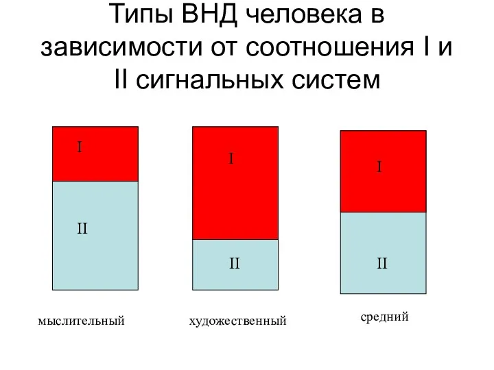 Типы ВНД человека в зависимости от соотношения I и II