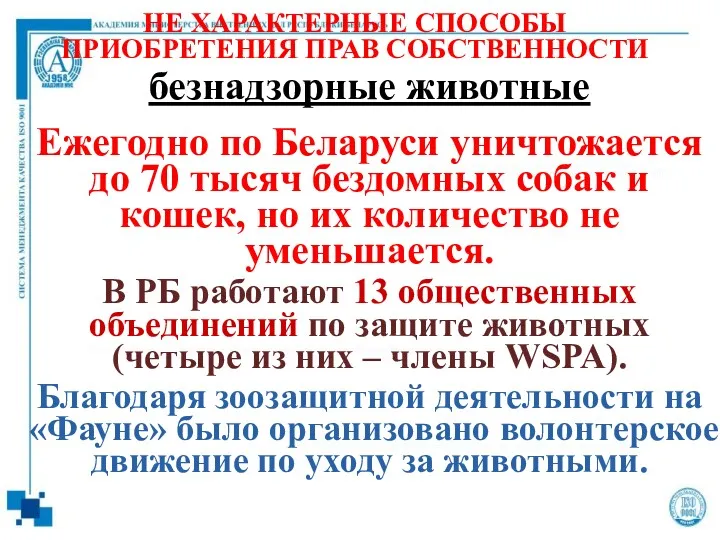 безнадзорные животные Ежегодно по Беларуси уничтожается до 70 тысяч бездомных