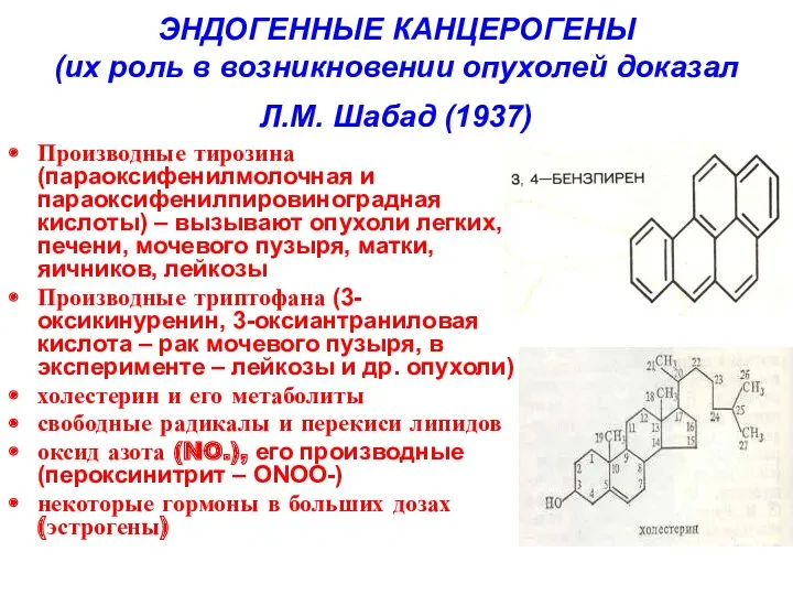 ЭНДОГЕННЫЕ КАНЦЕРОГЕНЫ (их роль в возникновении опухолей доказал Л.М. Шабад (1937) Производные тирозина