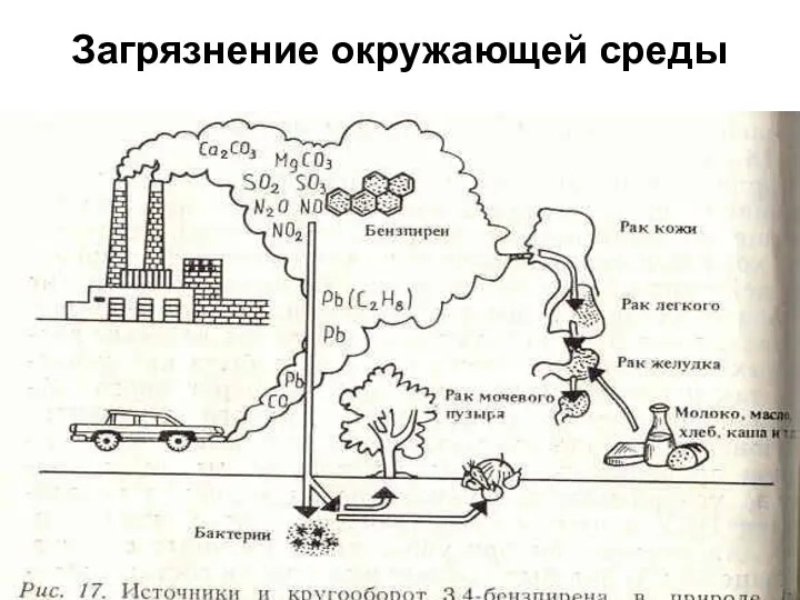 Загрязнение окружающей среды