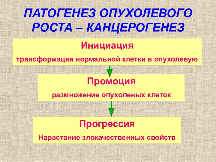 ПАТОГЕНЕЗ ОПУХОЛЕВОГО РОСТА – КАНЦЕРОГЕНЕЗ Инициация трансформация нормальной клетки в