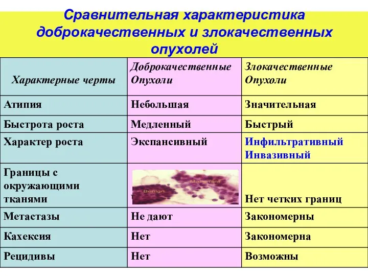 Сравнительная характеристика доброкачественных и злокачественных опухолей