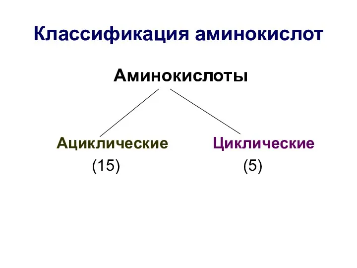 Классификация аминокислот Аминокислоты Ациклические Циклические (15) (5)