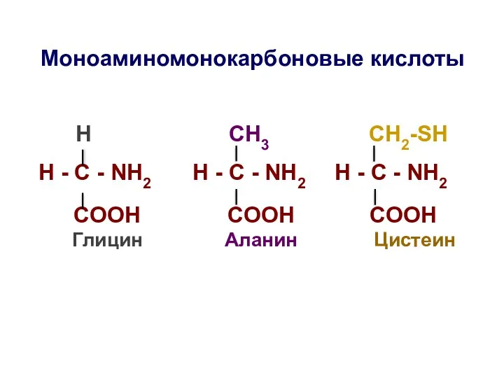 Моноаминомонокарбоновые кислоты H СН3 СН2-SH H - C - NH2