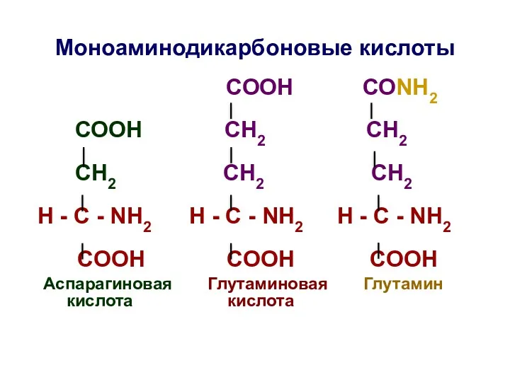 Моноаминодикарбоновые кислоты СООН СОNH2 СООН СН2 СН2 СH2 СН2 СН2