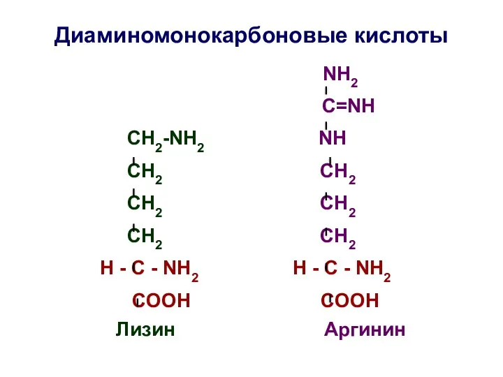 Диаминомонокарбоновые кислоты NH2 C=NH СН2-NH2 NH СH2 СH2 СН2 СН2