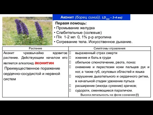 Аконит (борец синий). LD100 – 3-4 мг) Первая помощь: Промывание