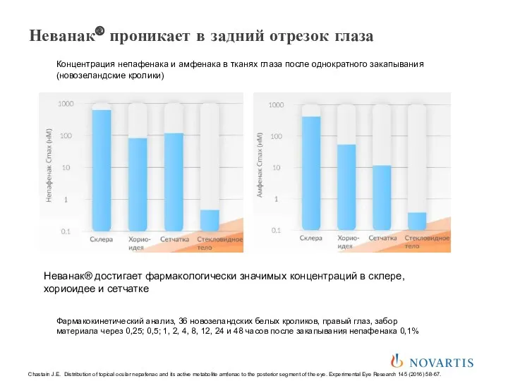 Неванак® достигает фармакологически значимых концентраций в склере, хориоидее и сетчатке