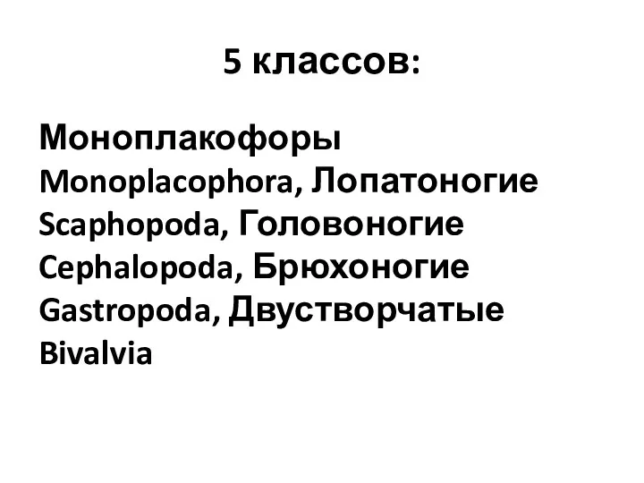 5 классов: Моноплакофоры Monoplacophora, Лопатоногие Scaphopoda, Головоногие Cephalopoda, Брюхоногие Gastropoda, Двустворчатые Bivalvia