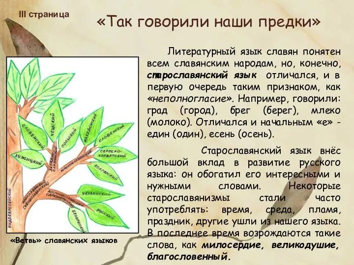 «Так говорили наши предки» III страница Литературный язык славян понятен