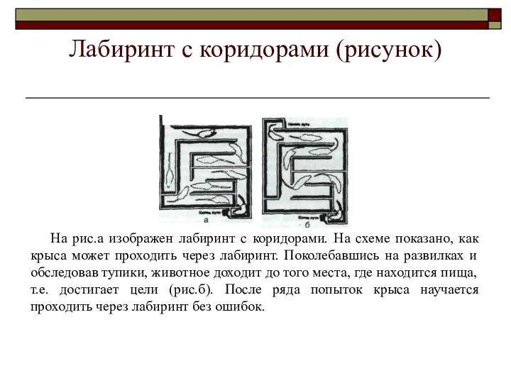 Лабиринт с коридорами (рисунок) На рис.а изображен лабиринт с коридорами.