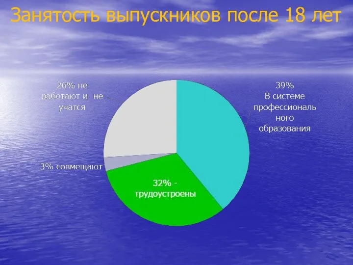 Занятость выпускников после 18 лет