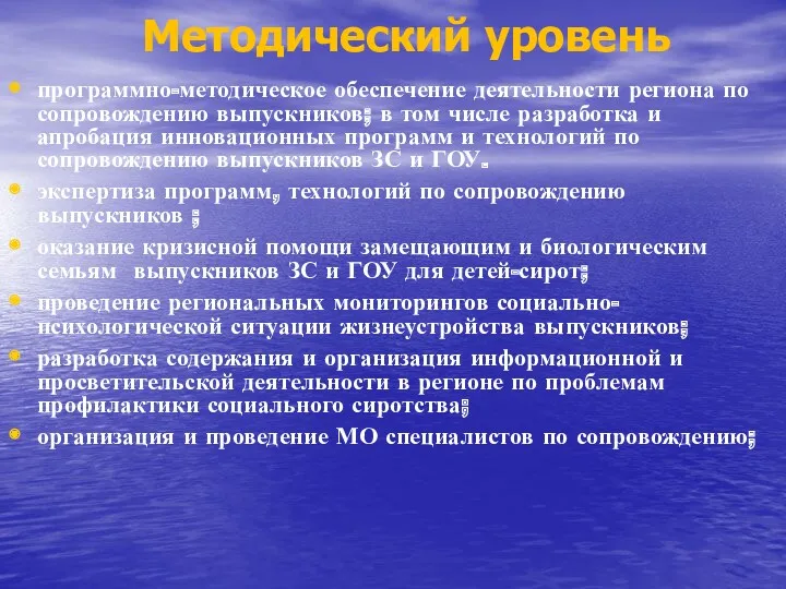 Методический уровень программно-методическое обеспечение деятельности региона по сопровождению выпускников; в