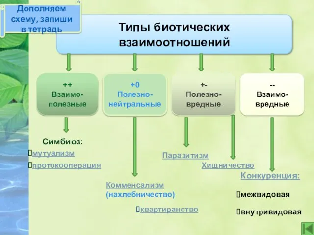 Типы биотических взаимоотношений ++ Взаимо- полезные +0 Полезно-нейтральные +- Полезно-