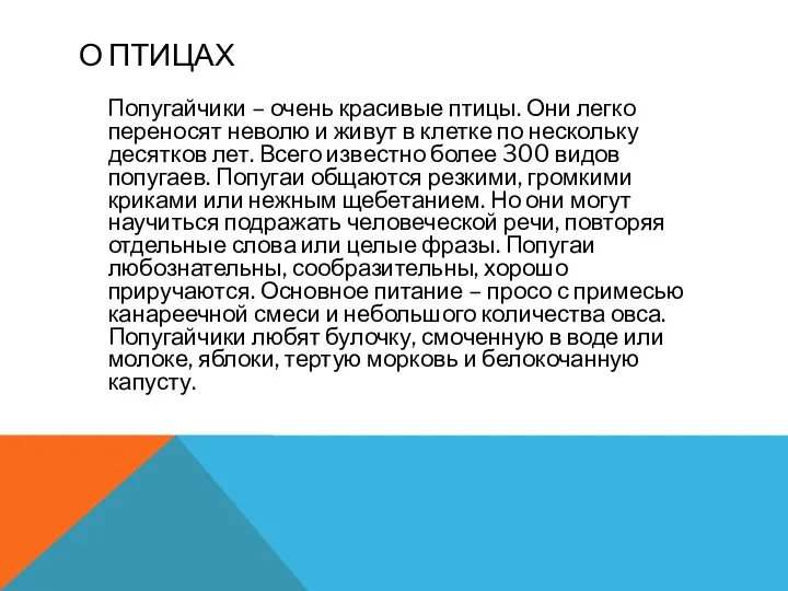 О ПТИЦАХ Попугайчики – очень красивые птицы. Они легко переносят