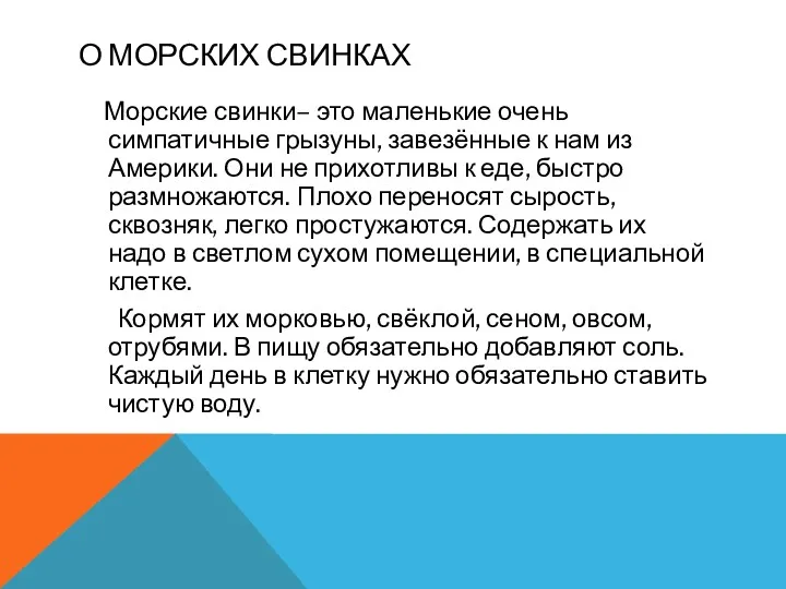 О МОРСКИХ СВИНКАХ Морские свинки– это маленькие очень симпатичные грызуны,