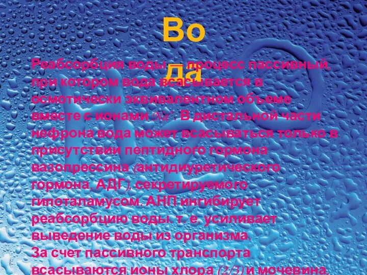 Вода Реабсорбция воды — процесс пассивный, при котором вода всасывается