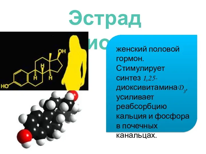 Эстрадиол женский половой гормон. Стимулирует синтез 1,25-диоксивитаминаD3, усиливает реабсорбцию кальция и фосфора в почечных канальцах.