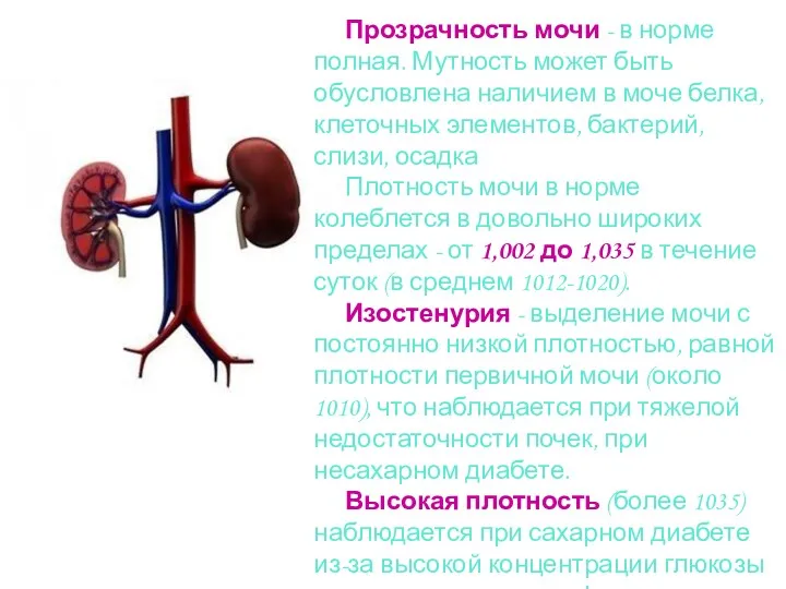 Прозрачность мочи - в норме полная. Мутность может быть обусловлена