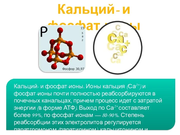 Кальций- и фосфат-ионы Кальций- и фосфат-ионы. Ионы кальция (Са2+) и