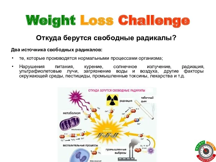 Weight Loss Challenge Два источника свободных радикалов: те, которые производятся