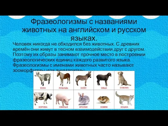 Фразеологизмы с названиями животных на английском и русском языках. Человек